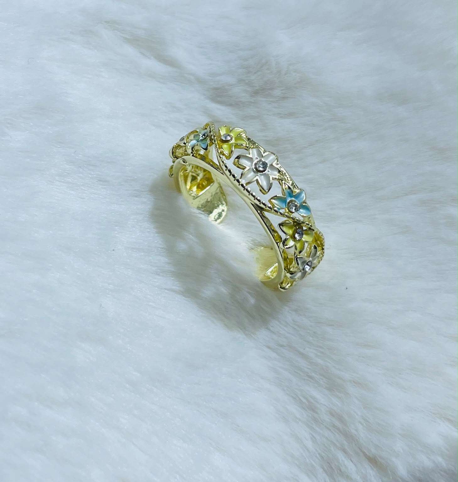 FR-0095
